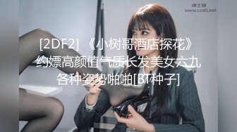 骚模美林私拍视频