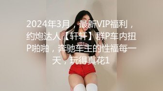 2024年3月，最新VIP福利，约炮达人【轩轩】群P车内扭P啪啪，奔驰车主的性福每一天，玩得真花1