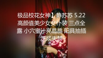 丝袜美腿气质秘书文文油亮无内丝1V大尺度写真[127P+1V/168M]