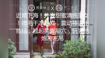 4/22最新 推特大神XX君约炮美乳设计师被操到大喊不要你插的太深VIP1196