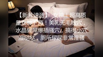 情色主播 红尘梦