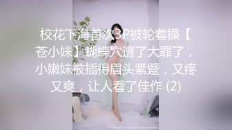 都小嫩模调教