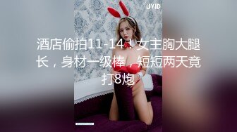 【YZWCD】YM098蕾姆女仆装cos小姐姐！粉窄内勒出明显13缝！