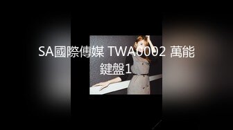 SA國際傳媒 TWA0002 萬能鍵盤1