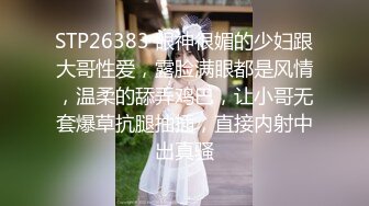 东京湾恋人91特派员和岛国美女双十一之恋