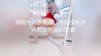 【9月新档】巅峰身材顶级豪乳「npxvip」OF私拍 巨乳黑丝高跟短裙OL淫水潮喷地狱