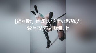 果冻传媒-一夜情酒吧酒吧艳遇的美女居然是女友的姐姐-林凤娇