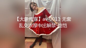 【大象传媒】av-0011 无套乱交浓厚中出解禁-恺恺