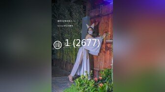 3D 第8彈國內大神自制 女警