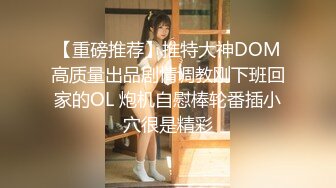 【重磅推荐】推特大神DOM高质量出品剧情调教刚下班回家的OL 炮机自慰棒轮番插小穴很是精彩