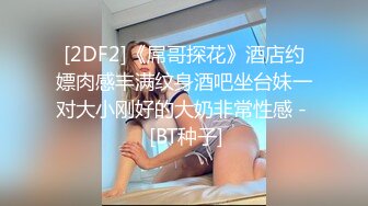 男主调教母狗女仆