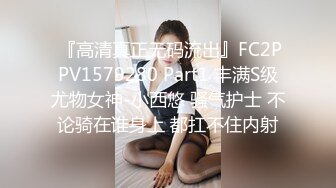 【网红摄影??超级核弹】23位网红博主摄影师『漫樱 希威社 涯叔 九儿 美少女战士』年终唯美性爱私拍 高清720P原版