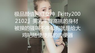 极品颜值网红女神『kitty2002102』美乳丰臀高挑的身材 被操的骚叫不停母狗就是给大鸡吧随便使用的肉便器