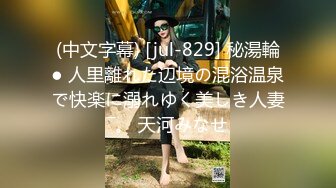 星空传媒XK8069我的老婆是大佬1-琪琪