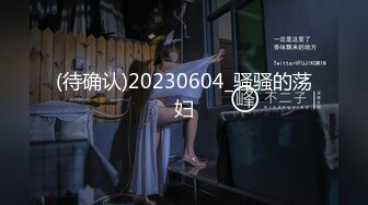 STP23726 麻豆传媒出品 吴梦梦监制绳缚愉虐主人的指令绝对服从 VIP2209