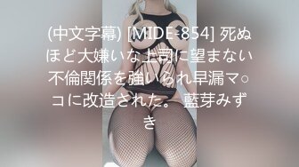 (中文字幕) [MIDE-854] 死ぬほど大嫌いな上司に望まない不倫関係を強いられ早漏マ○コに改造された。 藍芽みずき