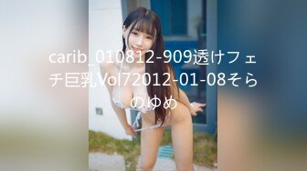 carib_010812-909透けフェチ巨乳Vol72012-01-08そらのゆめ